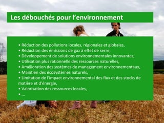 •  Réduction des pollutions locales, régionales et globales,  • Réduction des émissions de gaz à effet de serre,  • Développement de solutions environnementales innovantes,  • Utilisation plus rationnelle des ressources naturelles,  • Amélioration des systèmes de management environnementaux,  • Maintien des écosystèmes naturels,  • Limitation de l'impact environnemental des flux et des stocks de matière et d'énergie,  • Valorisation des ressources locales,  • ...  Les débouchés pour l’environnement 