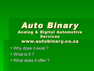 Auto Binary Analog & Digital Automotive Services www.autobinary.co.za 