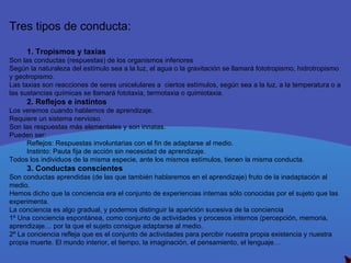 Tres tipos de conducta: 1. Tropismos y taxias Son las conductas (respuestas) de los organismos inferiores Según la naturaleza del estímulo sea a la luz, el agua o la gravitación se llamará fototropismo, hidrotropismo y geotropismo. Las taxias son reacciones de seres unicelulares a  ciertos estímulos, según sea a la luz, a la temperatura o a las sustancias químicas se llamará fototaxia, termotaxia o quimiotaxia. 2. Reflejos e instintos Los veremos cuando hablemos de aprendizaje. Requiere un sistema nervioso. Son las respuestas más elementales y son innatas. Pueden ser: Reflejos: Respuestas involuntarias con el fin de adaptarse al medio. Instinto: Pauta fija de acción sin necesidad de aprendizaje. Todos los individuos de la misma especie, ante los mismos estímulos, tienen la misma conducta. 3. Conductas conscientes Son conductas aprendidas (de las que también hablaremos en el aprendizaje) fruto de la inadaptación al medio. Hemos dicho que la conciencia era el conjunto de experiencias internas sólo conocidas por el sujeto que las experimenta. La conciencia es algo gradual, y podemos distinguir la aparición sucesiva de la conciencia 1º Una conciencia espontánea, como conjunto de actividades y procesos internos (percepción, memoria, aprendizaje… por la que el sujeto consigue adaptarse al medio. 2º La conciencia refleja que es el conjunto de actividades para percibir nuestra propia existencia y nuestra propia muerte. El mundo interior, el tiempo, la imaginación, el pensamiento, el lenguaje… 