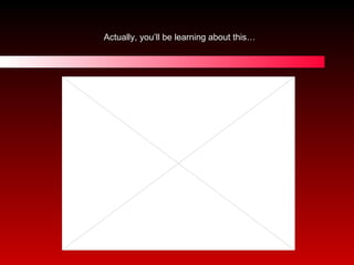 Actually, you’ll be learning about this… 