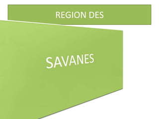 REGION DES