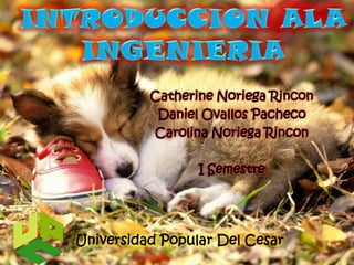 Catherine Noriega Rincon
           Daniel Ovallos Pacheco
          Carolina Noriega Rincon

                 I Semestre




Universidad Popular Del Cesar
 