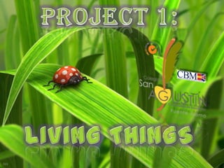 Project 1 Living Things
