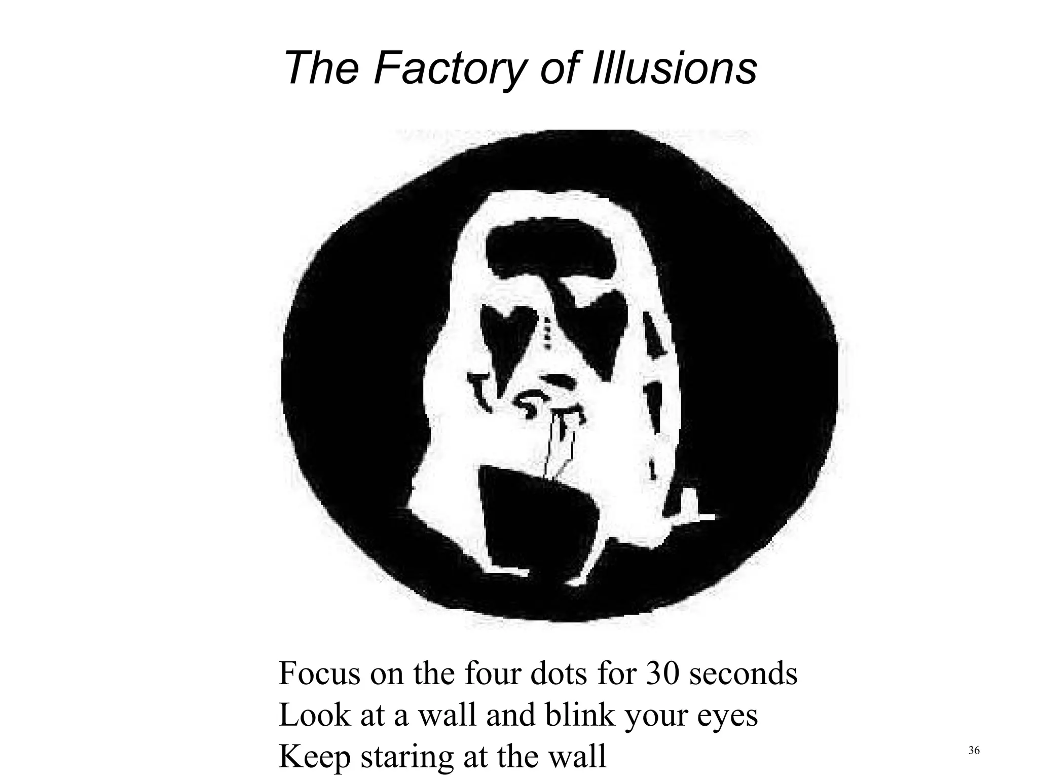 36
The Factory of Illusions
 