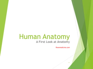 Human Anatomy 
A First Look at Anatomy 
Pavemedicine.com 
1-1 
 