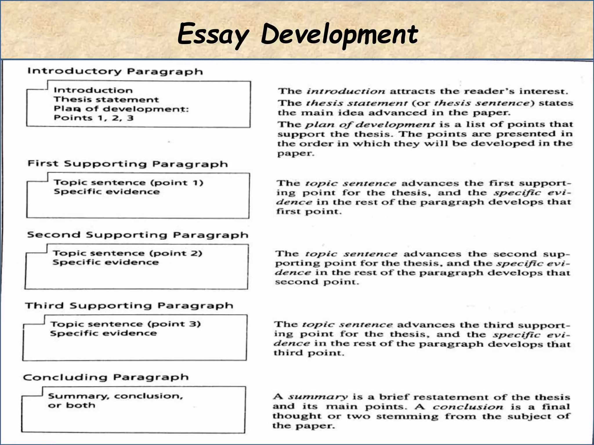 Essay Development
 