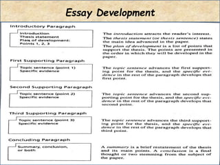 Essay Development
 