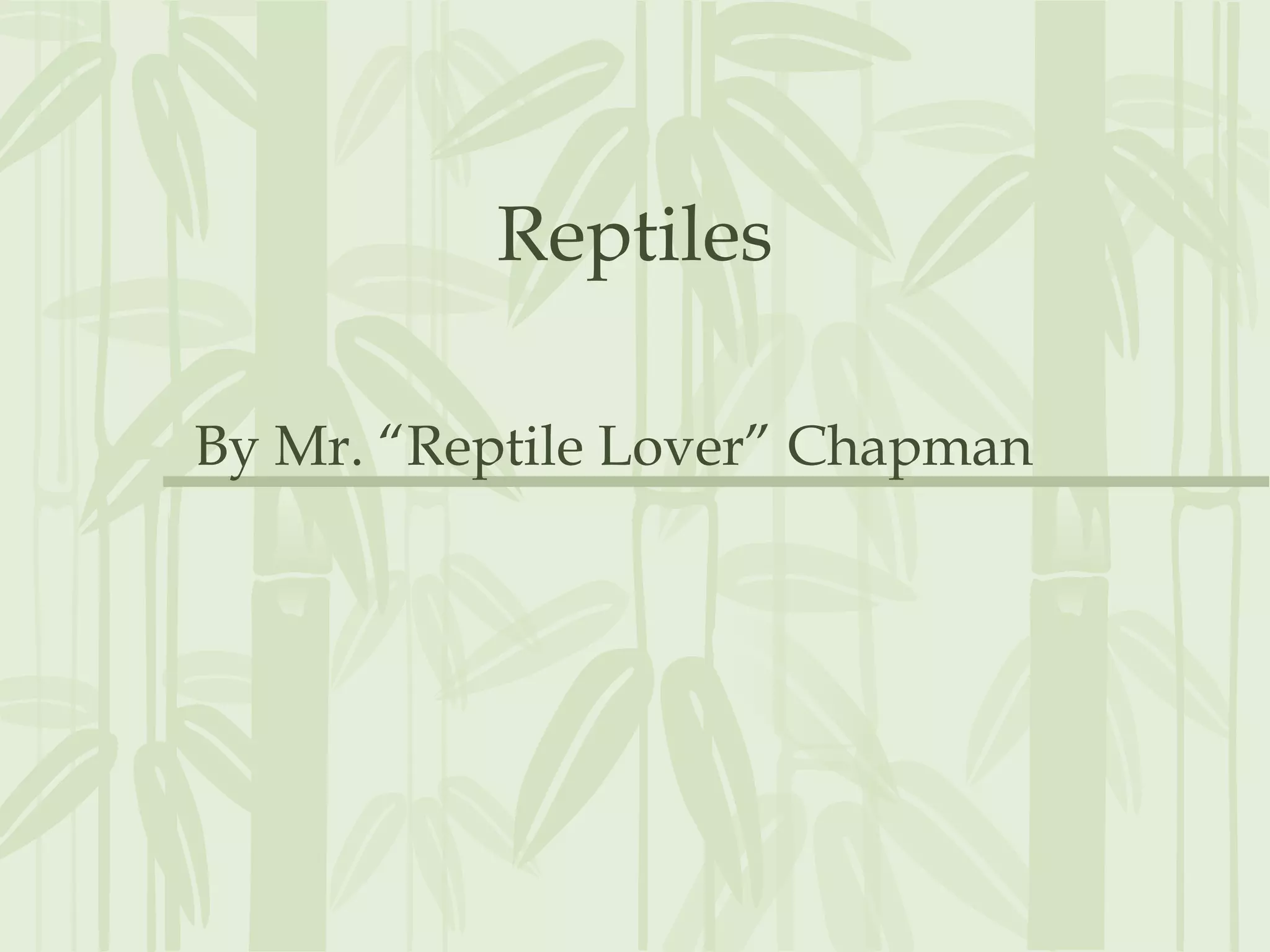 Reptiles
By Mr. “Reptile Lover” Chapman
 