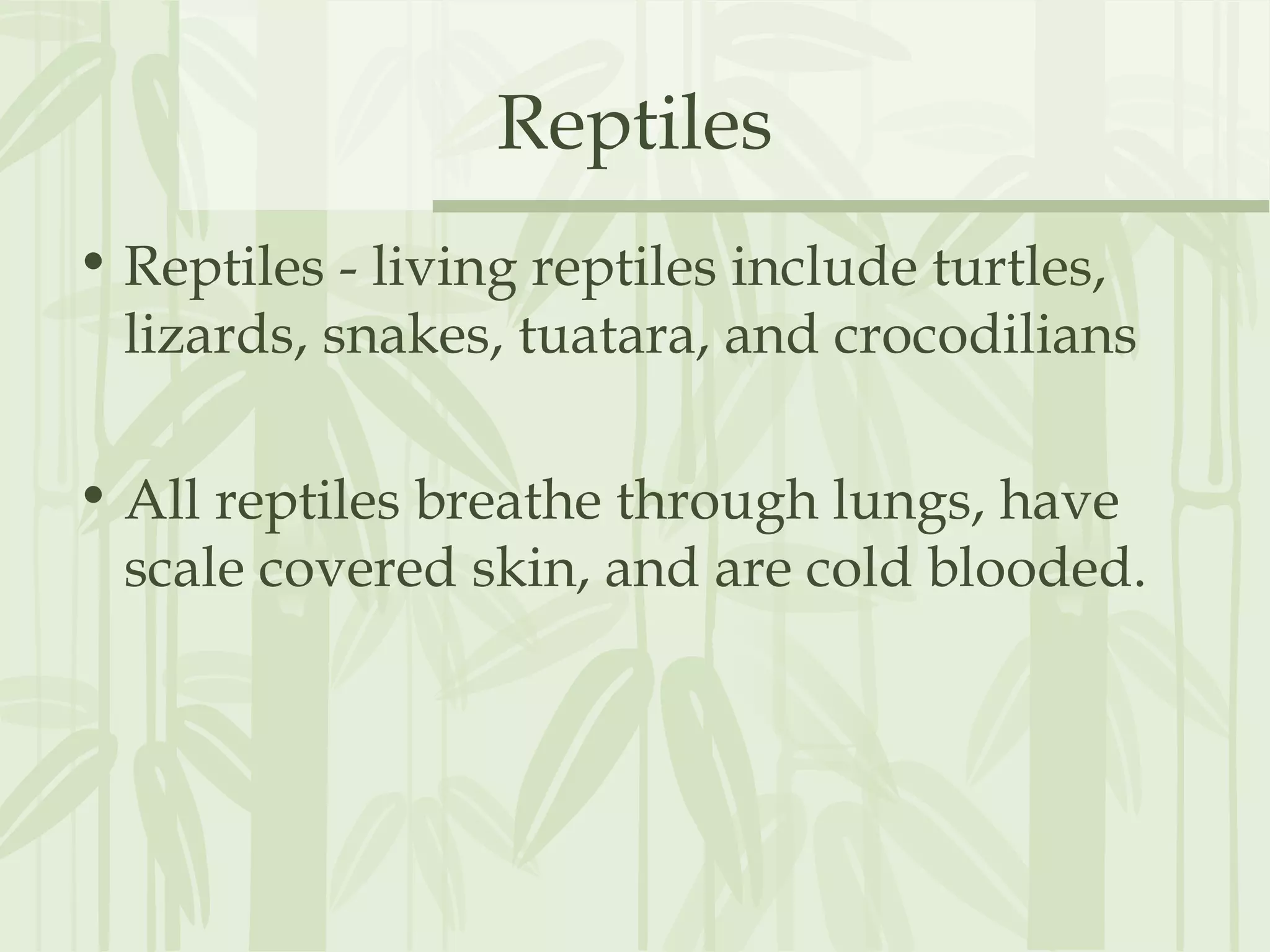 Reptiles
• Reptiles - living reptiles include turtles,
lizards, snakes, tuatara, and crocodilians
• All reptiles breathe through lungs, have
scale covered skin, and are cold blooded.
 