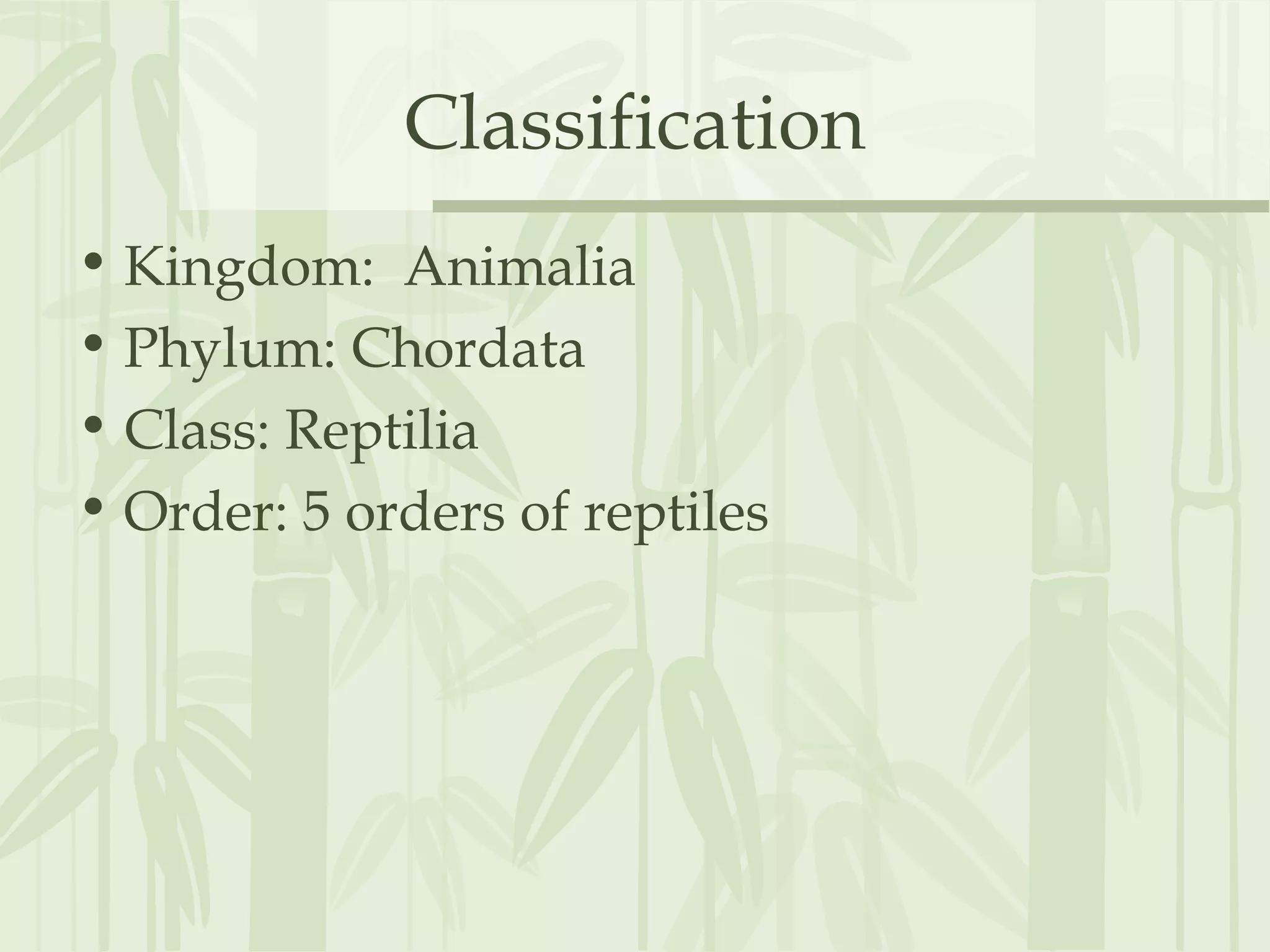 Classification
• Kingdom: Animalia
• Phylum: Chordata
• Class: Reptilia
• Order: 5 orders of reptiles
 