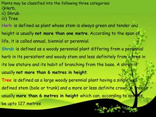 Introduction of forestry | PPTX