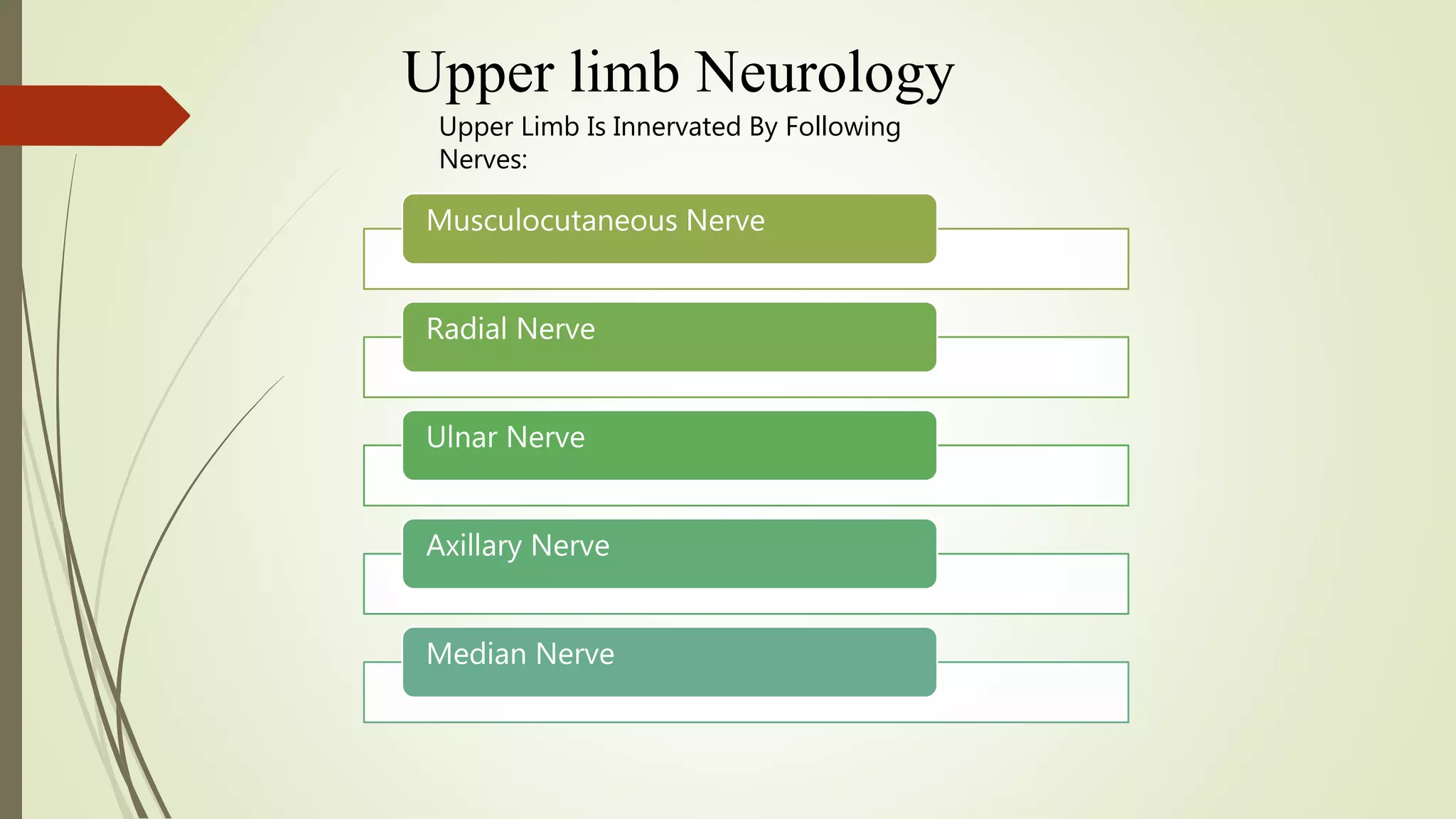 Upper limb Neurology
Musculocutaneous Nerve
Radial Nerve
Ulnar Nerve
Axillary Nerve
Median Nerve
Upper Limb Is Innervated By Following
Nerves: