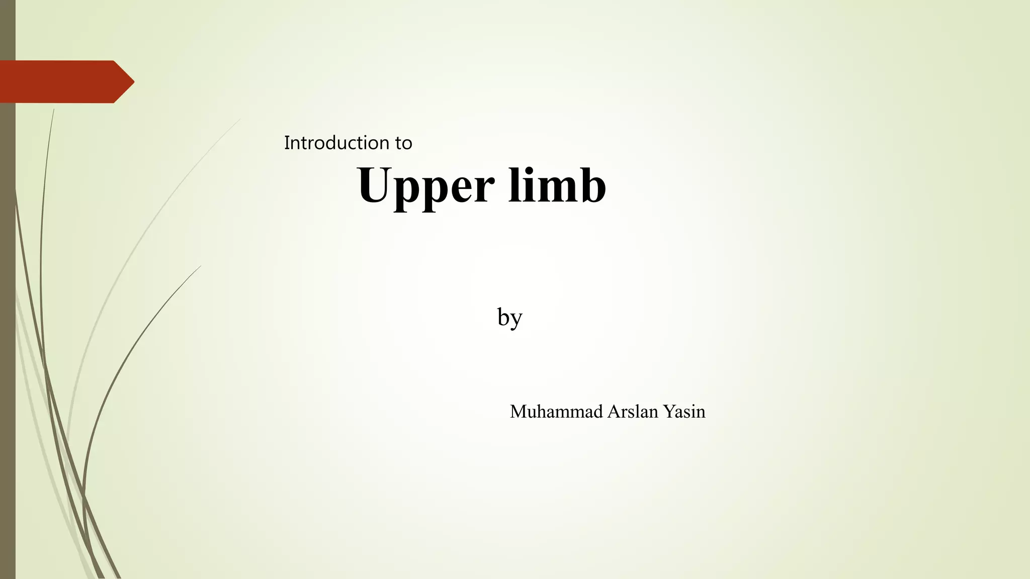 Upper limb
by
Muhammad Arslan Yasin
Introduction to