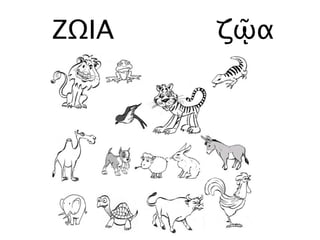 ΖΩΙΑ ζῷα
 