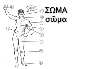 ΣΩΜΑ
σῶμα
 