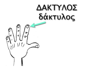 ΔΑΚΤΥΛΟΣ
δάκτυλος
 