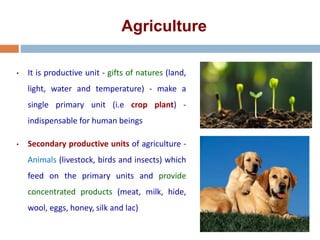 Agriculture
• It is productive unit - gifts of natures (land,
light, water and temperature) - make a
single primary unit (i.e crop plant) -
indispensable for human beings
• Secondary productive units of agriculture -
Animals (livestock, birds and insects) which
feed on the primary units and provide
concentrated products (meat, milk, hide,
wool, eggs, honey, silk and lac)
 