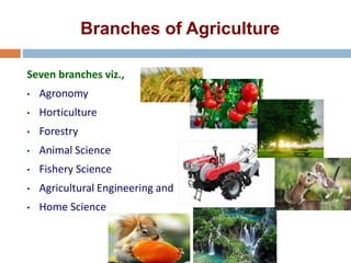 Branches of Agriculture
Seven branches viz.,
• Agronomy
• Horticulture
• Forestry
• Animal Science
• Fishery Science
• Agricultural Engineering and
• Home Science
 