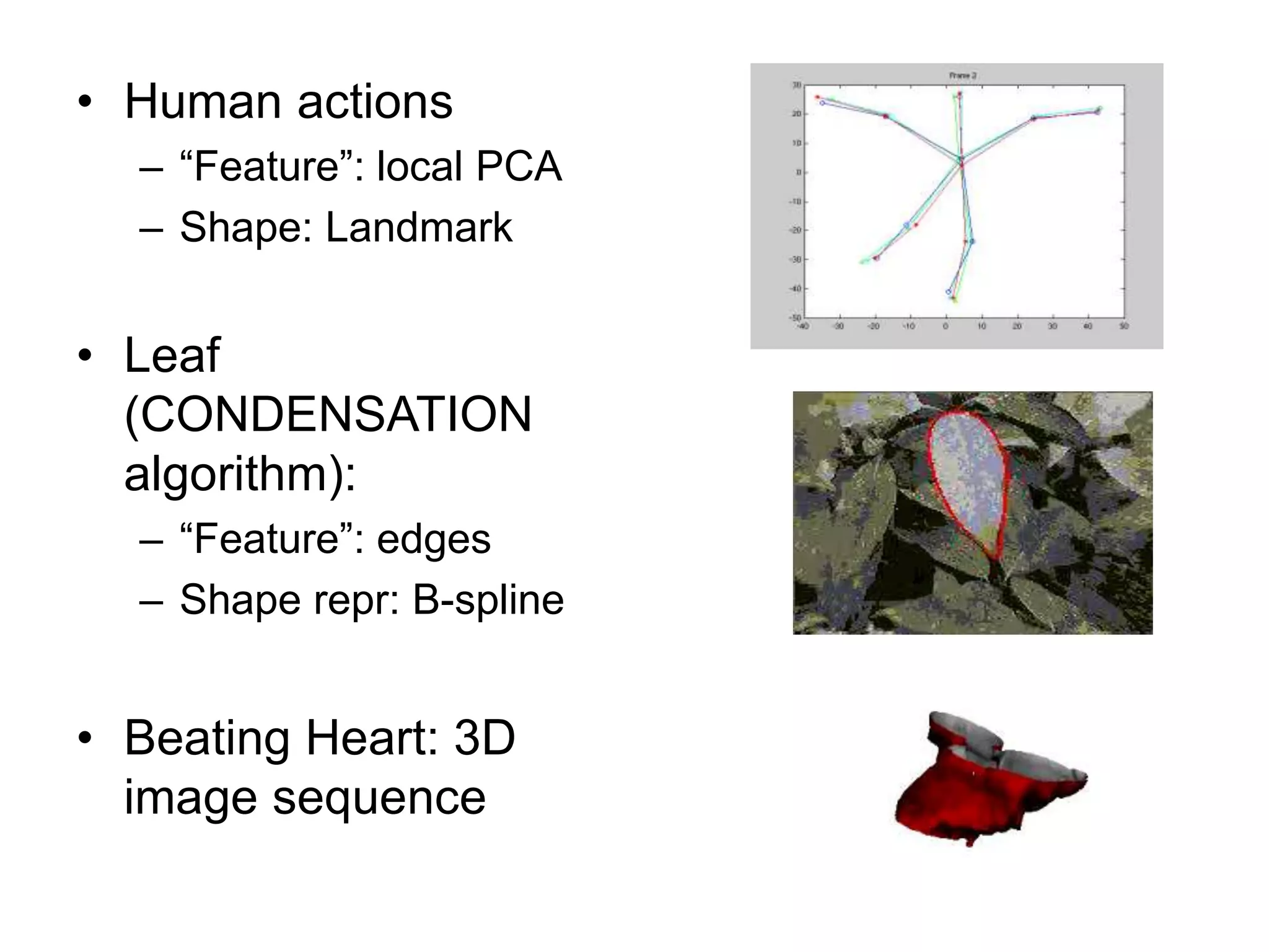 • Human actions
– “Feature”: local PCA
– Shape: Landmark
• Leaf
(CONDENSATION
algorithm):
– “Feature”: edges
– Shape repr: B-spline
• Beating Heart: 3D
image sequence
 