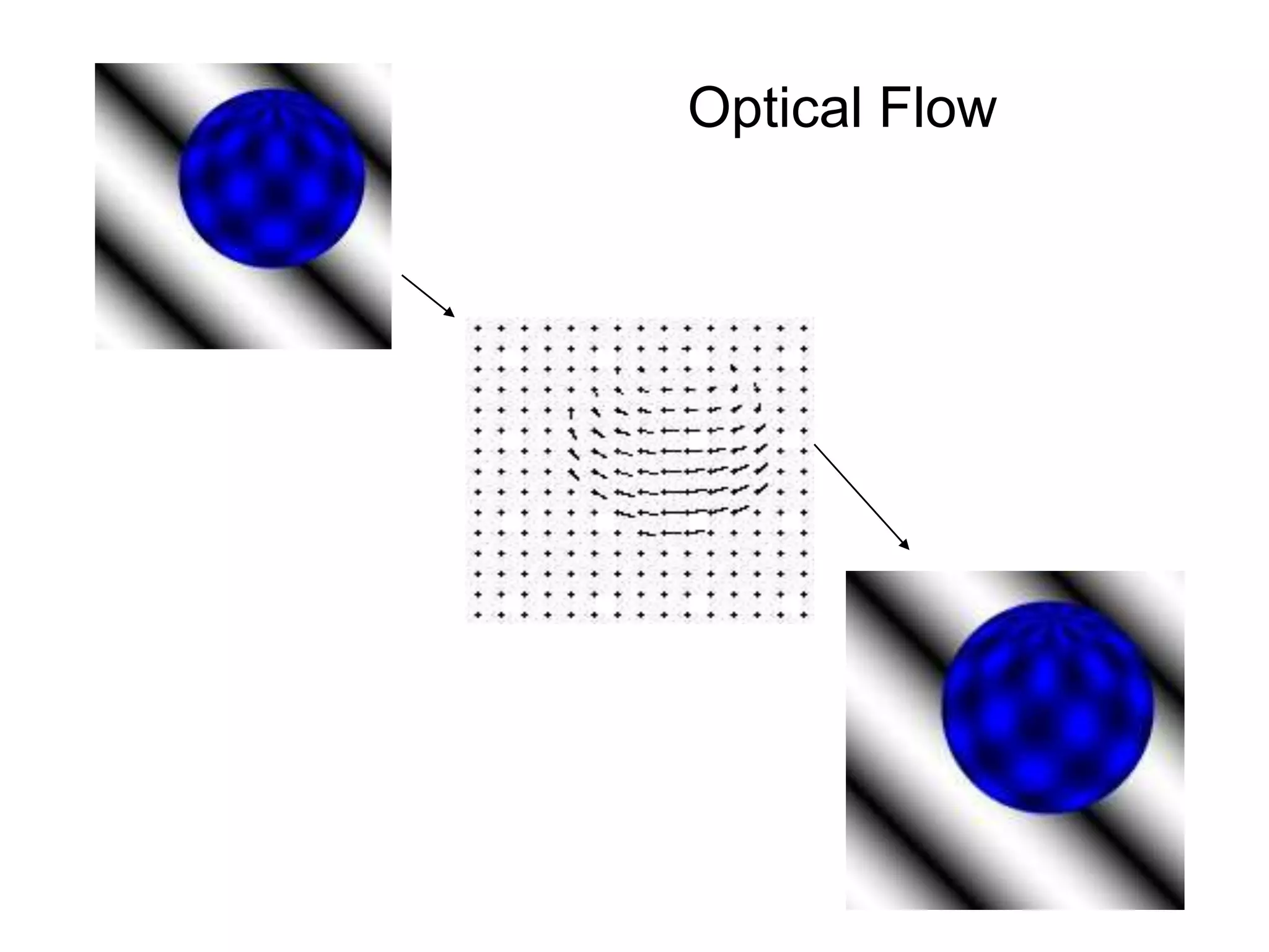 Optical Flow
 