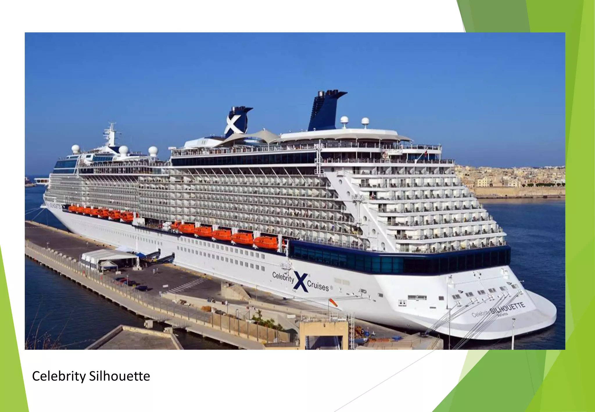 Celebrity Silhouette
 