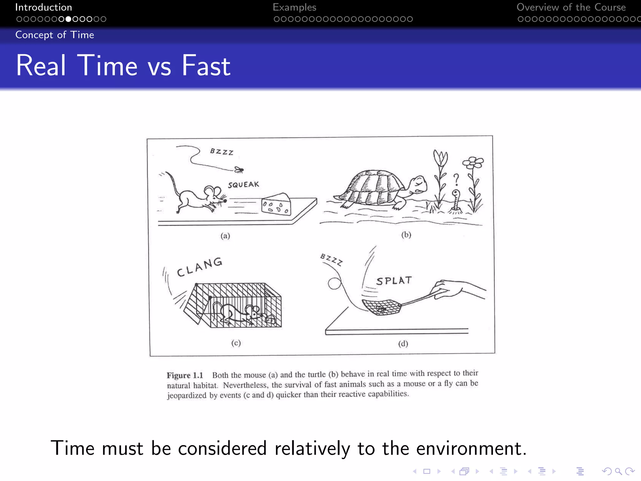 Introduction Examples Overview of the Course
Concept of Time
Real Time vs Fast
Time must be considered relatively to the environment.
 