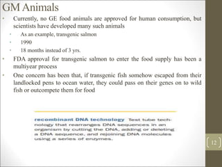 GMAnimals
• Currently, no GE food animals are approved for human consumption, but
scientists have developed many such animals
• As an example, transgenic salmon
• 1990
• 18 months instead of 3 yrs.
• FDA approval for transgenic salmon to enter the food supply has been a
multiyear process
• One concern has been that, if transgenic fish somehow escaped from their
landlocked pens to ocean water, they could pass on their genes on to wild
fish or outcompete them for food
12
 