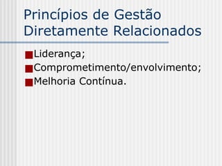 Princípios de Gestão
Diretamente Relacionados
■Liderança;
■Comprometimento/envolvimento;
■Melhoria Contínua.
 