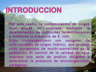 Por esta razón, la contaminación de origen
fecal puede ser evaluada mediante la
determinación de coliformes termotolerantes
o mediante la presencia de E. coli.
 Estos microorganismos son causantes de
enfermedades de origen hídrico, que generan
altos porcentajes de morbi-mortalidad en la
población. El control de la calidad de agua
requiere una serie de análisis dirigidos a
determinar la presencia de microorganismos
patógenos.
 