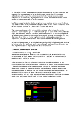 La interpretación de la energía electromagnética luminosa en impulsos nerviosos, se
realiza en los conos y bastones teniendo una base fotoquímica. Al incidir esta
radiación sobre los pigmentos existentes en los Fotorreceptores retinianos (la
rodopsina en los bastones y la yodopsina en los conos), estos se decoloran, dando
lugar a los impulsos nerviosos correspondientes.

Las fibras que parten de las células ganglionares, al reunirse, forman el nervio óptico
que conduce todos los impulsos nerviosos producidos por las células sensoriales a los
centros visuales situados en los lóbulos occipitales del cerebro.

El proceso visual es conocido con precisión molecular solamente en los puntos
relativos a las reacciones que se producen desde que un fotón incide sobre un bastón
hasta que el impulso nervioso sale de la célula fotorreceptora. El procesado de estas
señales en otras células del tejido retinal sigue siendo tema de investigación. Por ello,
el proceso de la visión se intenta explicar mediante hipótesis basadas en la
experiencia perceptual, tales como la teoría tricromática o la de los antagonistas.

De las distintas teorías acerca del proceso visual que se han desarrollado a lo largo de
la historia, estas dos teorías, la teoría tricromática y la teoría cuatricromática, son las
más importantes desde el punto de vista de la visualización.

2.2 Teorías sobre la visión del color

Teoría tricromática de Young y Helmholtz
Deriva directamente de las observaciones de Newton sobre la descomposición y
recombinación de la luz blanca. Fue formulada por Young en 1801 y reafirmada y
desarrollada por Helmholtz en 1852.

Parte del hecho de que para obtener la luz blanca, una vez dispersadas en las
distintas radiaciones del espectro visible a través de un prisma, no es necesario volver
a mezclar con una lente todas las radiaciones, sino que es suficiente utilizar tres
radiaciones sacadas de zonas del espectro suficientemente alejadas entre sí. Los
mejores resultados se obtenían con tres bandas de frecuencia correspondiente a un
determinado color rojo, a un verde y a un azul (ondas largas, media y corta,
respectivamente). Por otra parte, dosificando adecuadamente la intensidad de las tres
radiaciones, se podían obtener todos los otros colores del espectro visible.
 