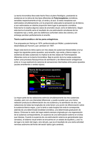 La teoría tricromática lleva este hecho físico al plano fisiológico, postulando la
existencia en la retina de tres tipos diferentes de Fotorreceptores cromáticos,
sensibles respectivamente al rojo, al verde y al azul. Si estos receptores son
estimulados simultáneamente y en la proporción adecuada la sensación es de blanco,
si son estimulados en distinta proporción tiene lugar la percepción cromática.
Esta teoría no explica algunos casos de anomalía visual, como el daltonismo. Según
esta teoría el amarillo sería el resultado de una estimulación simultanea de los
receptores rojo y verde, pero los daltónicos confunden estos dos colores y sin
embargo perciben perfectamente el amarillo.

Teoría cuatricromática o de los pares antagónicos.

Fue propuesta por Hering en 1874, perfeccionada por Müller y posteriormente
desarrollada por Hurvich y por Jameson en 1957.

Según esta teoría la retina opera con tres clases de sustancias fotosensibles a la luz
según los siguientes pares opuestos: azul-amarillo, rojo-verde y blanco-negro. La
existencia de tales sustancias no implica la de tres clases de Fotorreceptores
diferentes como en la teoría tricromática. Bajo la acción de la luz estas sustancias
sufren unos procesos fisicoquímicos de asimilación y de diferenciación antagónicos
entre sí, lo que explicaría la carencia de sensaciones intermedias entre pares opuestos
(azules amarillentos o verdes rojizos)




La mayor parte de las radiaciones estimula simultáneamente las tres sustancias
visuales, pero con una intensidad diferencial, y puede suceder que una misma
radiación produzca la diferenciación de una sustancia y la asimilación de otra. Las
radiaciones de todas las longitudes de onda tienen una acción de diferenciación sobre
la sustancia blanco-negra, y por lo tanto a cada longitud de onda le corresponde,
además de una determinada tonalidad cromática, una determinada graduación de
blanco. Entonces la visión del negro estaría siempre originada por una regeneración
de la sustancia correspondiente, en ausencia de una estimulación externa en el área
que interesa. Cuando la ausencia de una estimulación externa es generalizada (ojos
cerrados), el sistema visual entero se encuentra en un estado de equilibrio, y eso no
da lugar a la visión del negro, sino del gris, que es el resultado de una cierta actividad
nerviosa autónoma del fondo del sector óptico (gris cerebral).
 
 