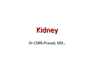 KidneyKidney
Dr.CSBR.Prasad, MD.,
 