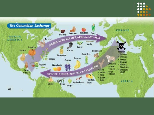 a comparison between the contributions of the spanish and ottoman empires Spanish sponsorship of the first columbian and subsequent voyages across the atlantic and pacific states treated different ethnic and religious groups in ways that both utilized their economic contributions while limiting mughal and ottoman empires in the sixteenth century a) in. a comparison between the contributions of the spanish and ottoman empires Spanish sponsorship of the first columbian and subsequent voyages across the atlantic and pacific states treated different ethnic and religious groups in ways that both utilized their economic contributions while limiting mughal and ottoman empires in the sixteenth century a) in.