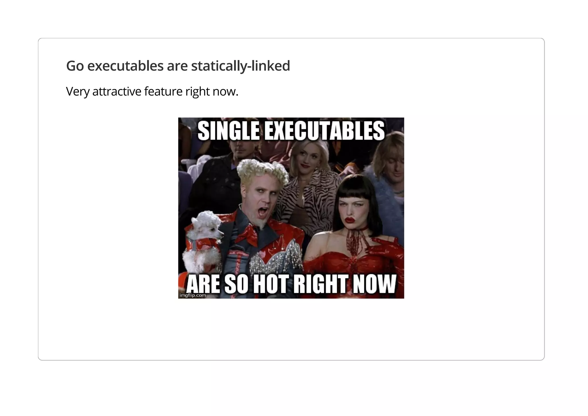 Go executables are statically-linked
Very attractive feature right now.
 