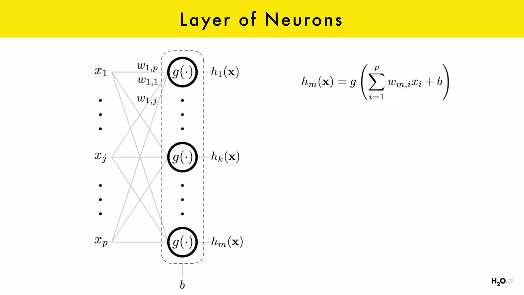 Layer of Neurons
 