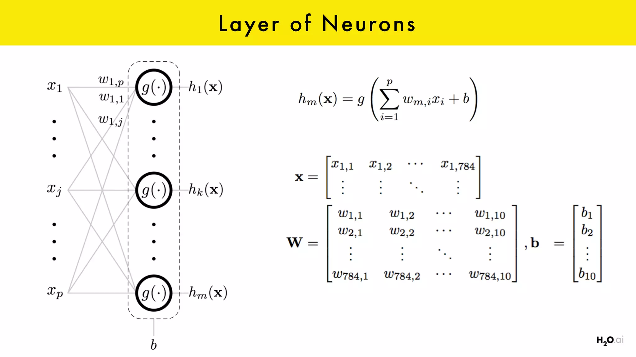 Layer of Neurons
 