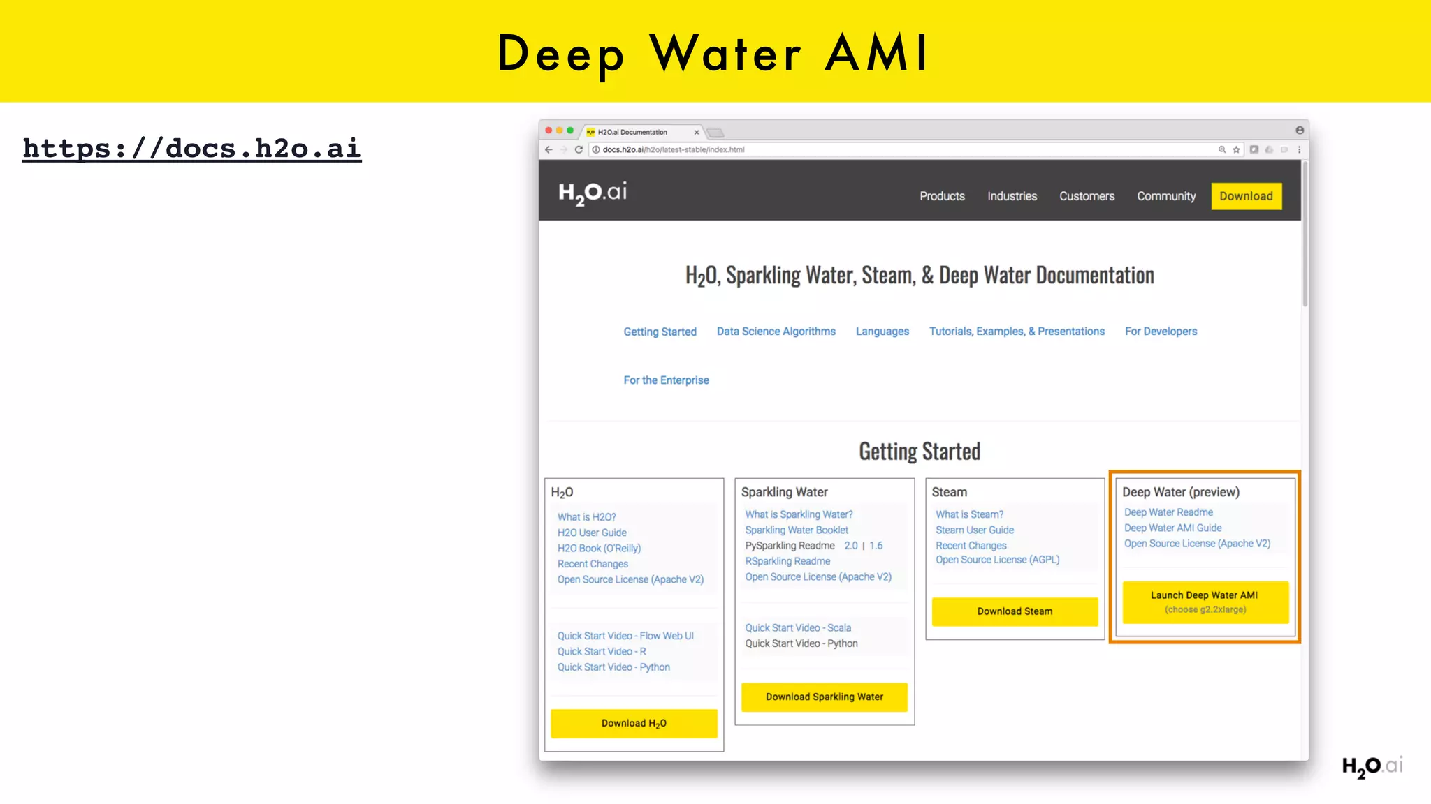Deep Water AMI
https://docs.h2o.ai
 
