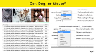 Cat, Dog, or Mouse?
 