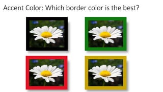 Accent Color: Which border color is the best?
 
