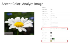 Accent Color: Analyze Image
 