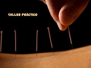 60
Taller Práctico
 
