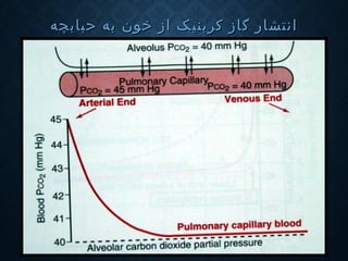 ‫ا‬‫ا‬‫نت‬‫نت‬‫ش‬‫ش‬‫ار‬‫ار‬‫کربنیک‬ ‫گاز‬‫کربنیک‬ ‫گاز‬‫حبابچه‬ ‫به‬ ‫خون‬ ‫از‬‫حبابچه‬ ‫به‬ ‫خون‬ ‫از‬
 