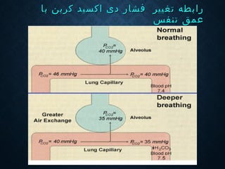 ‫د‬ ‫فشار‬ ‫تغيير‬ ‫رابطه‬‫د‬ ‫فشار‬ ‫تغيير‬ ‫رابطه‬‫ی‬‫ی‬‫ب‬ ‫كربن‬ ‫اكسيد‬‫ب‬ ‫كربن‬ ‫اكسيد‬‫ا‬‫ا‬
‫تنفس‬ ‫عمق‬‫تنفس‬ ‫عمق‬
 