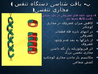 -‫ب‬-‫ب‬‫تنفس‬ ‫دستگاه‬ ‫شناسی‬ ‫بافت‬‫تنفس‬ ‫دستگاه‬ ‫شناسی‬ ‫بافت‬((
‫تنفسی‬ ‫مجاری‬‫تنفسی‬ ‫مجاری‬))
11--‫تشكیل‬ ،‫نای‬ ‫در‬ ‫غضروفی‬ ‫های‬ ‫حلقه‬ ‫وجود‬‫تشكیل‬ ،‫نای‬ ‫در‬ ‫غضروفی‬ ‫های‬ ‫حلقه‬ ‫وجود‬
‫دهنده‬‫دهنده‬6/56/5‫نای‬ ‫محیط‬‫نای‬ ‫محیط‬
•‫مجاری‬ ‫در‬ ‫غضروف‬ ‫میزان‬ ‫كاهش‬‫مجاری‬ ‫در‬ ‫غضروف‬ ‫میزان‬ ‫كاهش‬
‫كوچكتر‬‫كوچكتر‬
•‫ه‬ ‫نایژه‬ ‫انتهای‬ ‫در‬‫ه‬ ‫نایژه‬ ‫انتهای‬ ‫در‬‫ا‬‫ا‬:‫قطعات‬ :‫قطعات‬
‫غضروفی‬‫غضروفی‬
•‫وجود‬ ‫عدم‬ ‫بعد‬ ‫به‬ ‫نایژكها‬ ‫از‬‫وجود‬ ‫عدم‬ ‫بعد‬ ‫به‬ ‫نایژكها‬ ‫از‬
‫غضروف‬‫غضروف‬
•:‫داشتن‬ ‫نگه‬ ‫باز‬ ‫فیزیولوژیك‬ ‫اثر‬:‫داشتن‬ ‫نگه‬ ‫باز‬ ‫فیزیولوژیك‬ ‫اثر‬
‫بزرگ‬ ‫تنفسی‬ ‫مجاری‬‫بزرگ‬ ‫تنفسی‬ ‫مجاری‬
•‫ماند‬ ‫باز‬ ‫مكانیسم‬‫ماند‬ ‫باز‬ ‫مكانیسم‬‫ن‬‫ن‬:‫كوچكتر‬ ‫مجاری‬:‫كوچكتر‬ ‫مجاری‬
‫شعاعی‬ ‫كشش‬‫شعاعی‬ ‫كشش‬
 