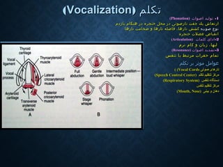 ‫تكلم‬‫تكلم‬))VocalizationVocalization((
11--‫تولید‬‫تولید‬‫اصوات‬‫اصوات‬))PhonationPhonation((
‫ارتعا‬‫ارتعا‬‫ش‬‫ش‬‫جفت‬ ‫یك‬‫جفت‬ ‫یك‬‫ت‬‫ت‬‫بازدم‬ ‫هنگام‬ ‫در‬ ‫حنجره‬ ‫محل‬ ‫در‬ ‫ارصوتی‬‫بازدم‬ ‫هنگام‬ ‫در‬ ‫حنجره‬ ‫محل‬ ‫در‬ ‫ارصوتی‬
:‫صوت‬ ‫نوع‬:‫صوت‬ ‫نوع‬‫كشش‬‫كشش‬‫ت‬‫ت‬‫ضخامت‬ ‫و‬ ‫تارها‬ ‫فاصله‬ ،‫ارها‬‫ضخامت‬ ‫و‬ ‫تارها‬ ‫فاصله‬ ،‫ارها‬‫ت‬‫ت‬‫ارها‬‫ارها‬
‫حنجره‬ ‫عضلت‬ ‫انقباض‬‫حنجره‬ ‫عضلت‬ ‫انقباض‬
22--‫كلمات‬ ‫ادای‬‫كلمات‬ ‫ادای‬))ArticulationArticulation((
‫نرم‬ ‫كام‬ ‫و‬ ‫زبان‬ ،‫لبها‬‫نرم‬ ‫كام‬ ‫و‬ ‫زبان‬ ،‫لبها‬
33--‫اصوات‬ ‫تشدید‬‫اصوات‬ ‫تشدید‬))ResonanceResonance((
‫تنفس‬ ‫با‬ ‫مرتبط‬ ‫حفرات‬ ‫تمام‬‫تنفس‬ ‫با‬ ‫مرتبط‬ ‫حفرات‬ ‫تمام‬
‫موثر‬ ‫عوامل‬‫موثر‬ ‫عوامل‬‫ب‬‫ب‬‫تكلم‬ ‫ر‬‫تكلم‬ ‫ر‬
‫تارها‬‫تارها‬‫ی‬‫ی‬‫صوت‬‫صوت‬‫ی‬‫ی‬Vocal CordsVocal Cords((((
‫تكلم‬ ‫تنظیم‬ ‫مركز‬‫تكلم‬ ‫تنظیم‬ ‫مركز‬))Speech Control CenterSpeech Control Center((
‫تنفس‬ ‫دستگاه‬‫تنفس‬ ‫دستگاه‬))Respiratory SystemRespiratory System((
‫تنفس‬ ‫تنظیم‬ ‫مرکز‬‫تنفس‬ ‫تنظیم‬ ‫مرکز‬
‫بینی‬ ‫و‬ ‫دهان‬‫بینی‬ ‫و‬ ‫دهان‬))Mouth, NoseMouth, Nose((
 