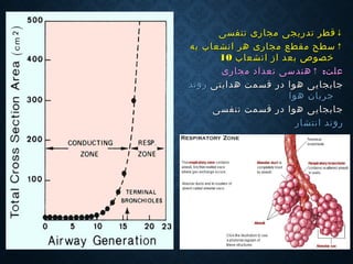 ↓↓‫تدریج‬ ‫قطر‬‫تدریج‬ ‫قطر‬‫ی‬‫ی‬‫تنفسی‬ ‫مجاری‬‫تنفسی‬ ‫مجاری‬
↑↑‫ب‬ ‫انشعاب‬ ‫هر‬ ‫مجاری‬ ‫مقطع‬ ‫سطح‬‫ب‬ ‫انشعاب‬ ‫هر‬ ‫مجاری‬ ‫مقطع‬ ‫سطح‬‫ه‬‫ه‬
‫خصوص‬‫خصوص‬‫ا‬ ‫از‬ ‫بعد‬‫ا‬ ‫از‬ ‫بعد‬‫نشعا‬‫نشعا‬‫ب‬‫ب‬1010
:‫علت‬:‫علت‬↑↑‫مجاری‬ ‫تعداد‬ ‫هندسی‬‫مجاری‬ ‫تعداد‬ ‫هندسی‬
‫جابجا‬‫جابجا‬‫ی‬‫ی‬‫هدایتی‬ ‫قسمت‬ ‫در‬ ‫هوا‬ ‫ی‬‫هدایتی‬ ‫قسمت‬ ‫در‬ ‫هوا‬ ‫ی‬‫روند‬‫روند‬
‫هوا‬ ‫جریان‬‫هوا‬ ‫جریان‬
‫جابجا‬‫جابجا‬‫ی‬‫ی‬‫تنفسی‬ ‫قسمت‬ ‫در‬ ‫هوا‬ ‫ی‬‫تنفسی‬ ‫قسمت‬ ‫در‬ ‫هوا‬ ‫ی‬
‫انتشار‬ ‫روند‬‫انتشار‬ ‫روند‬
 