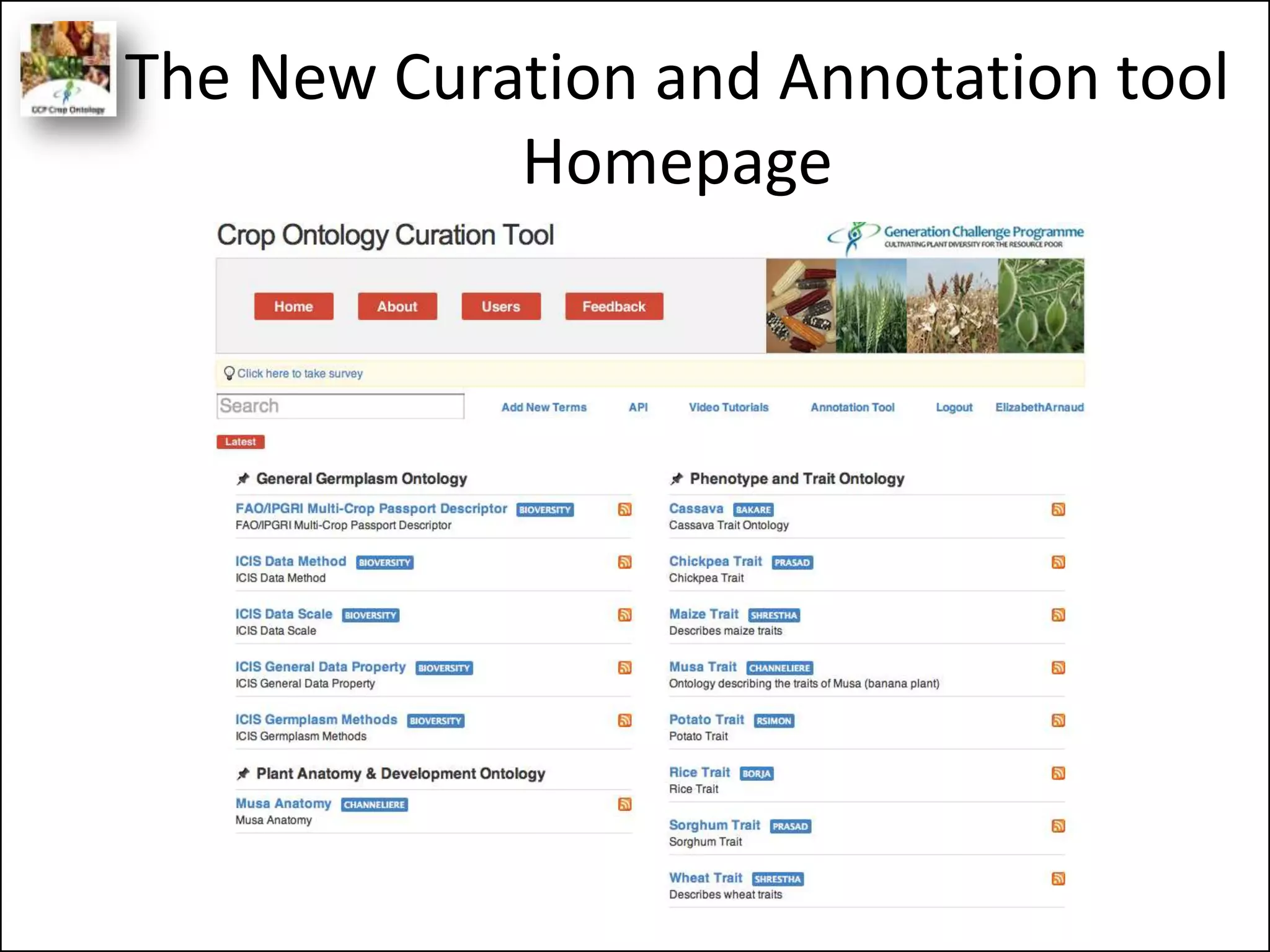The New Curation and Annotation tool
Homepage
 