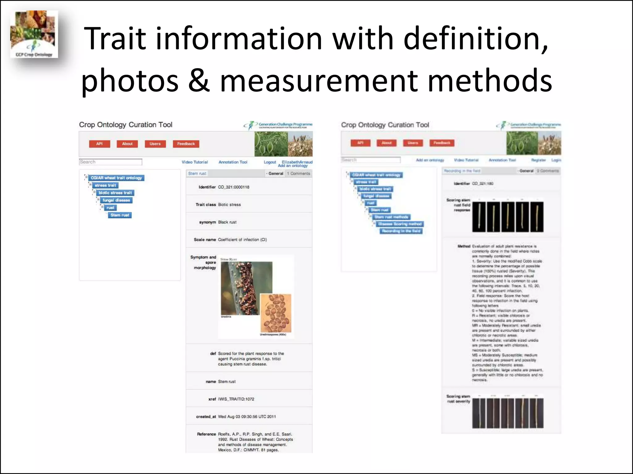 Trait information with definition,
photos & measurement methods
 