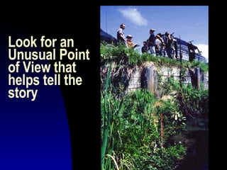 Look for an Unusual Point of View that helps tell the story