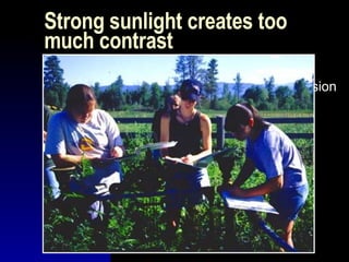 Strong sunlight creates too much contrast State the purpose of the discussion Identify yourself